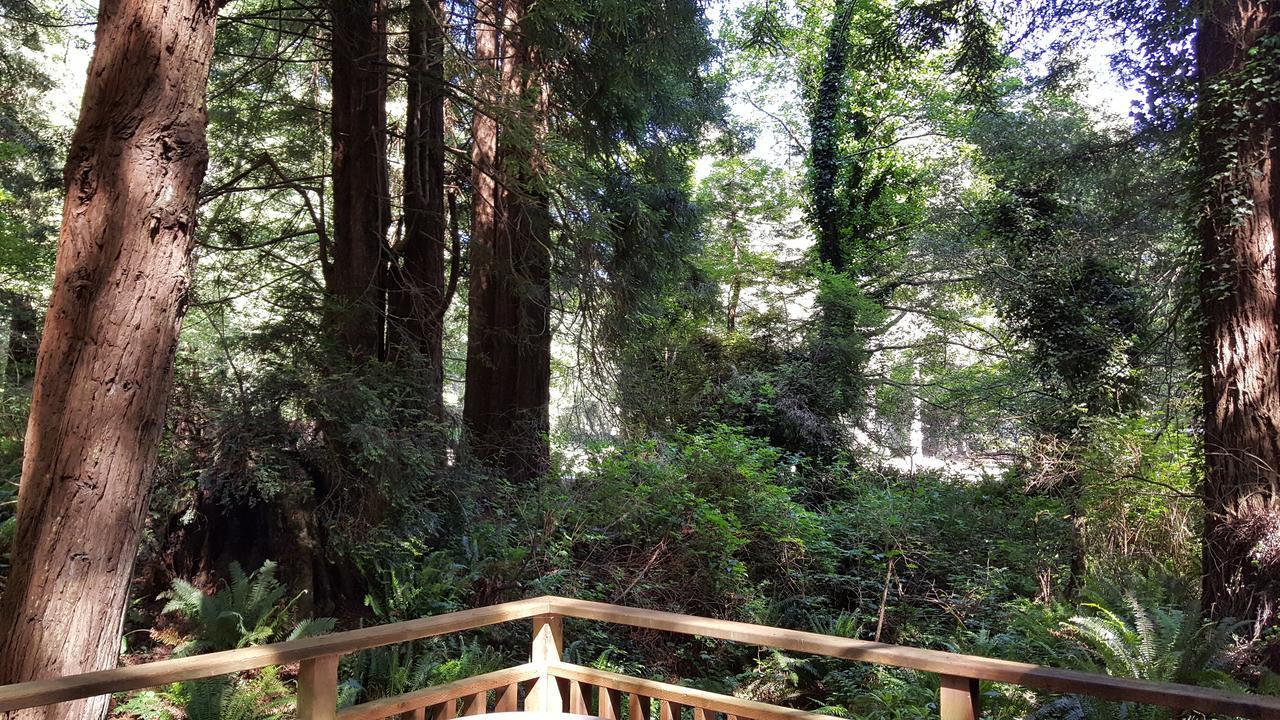 Emerald Forest Cabins Тринидад Екстериор снимка