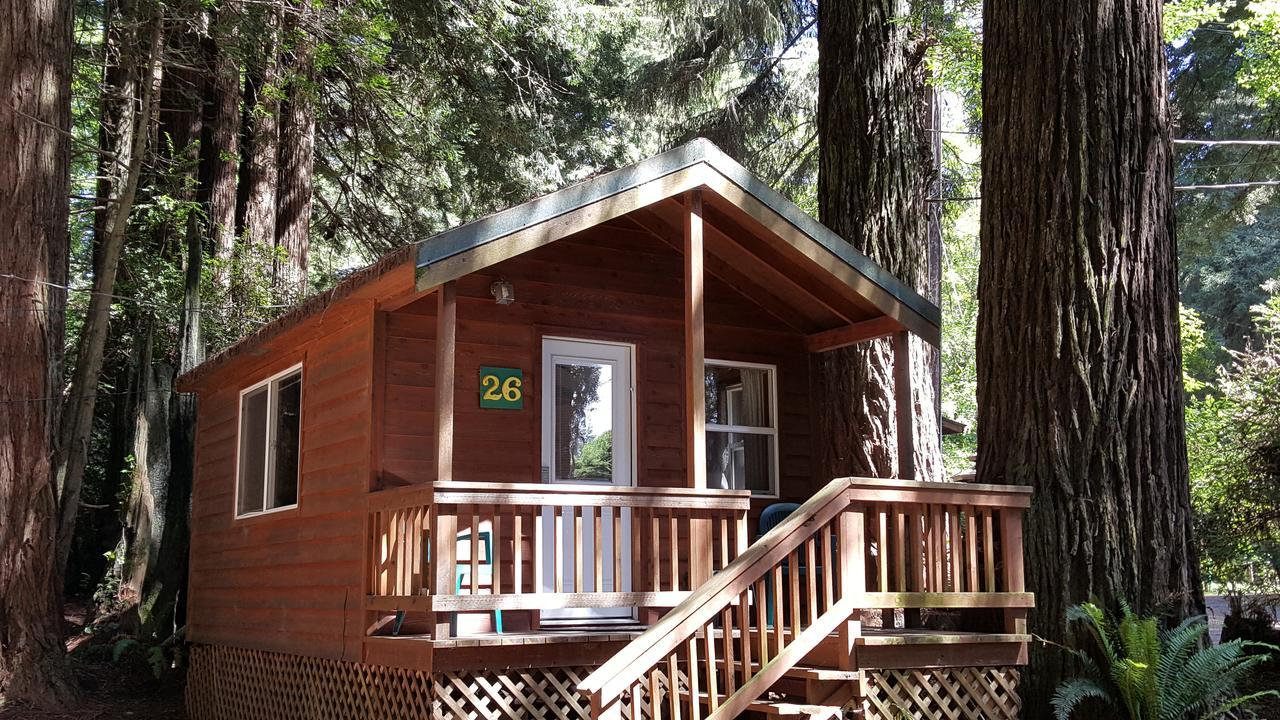 Emerald Forest Cabins Тринидад Екстериор снимка