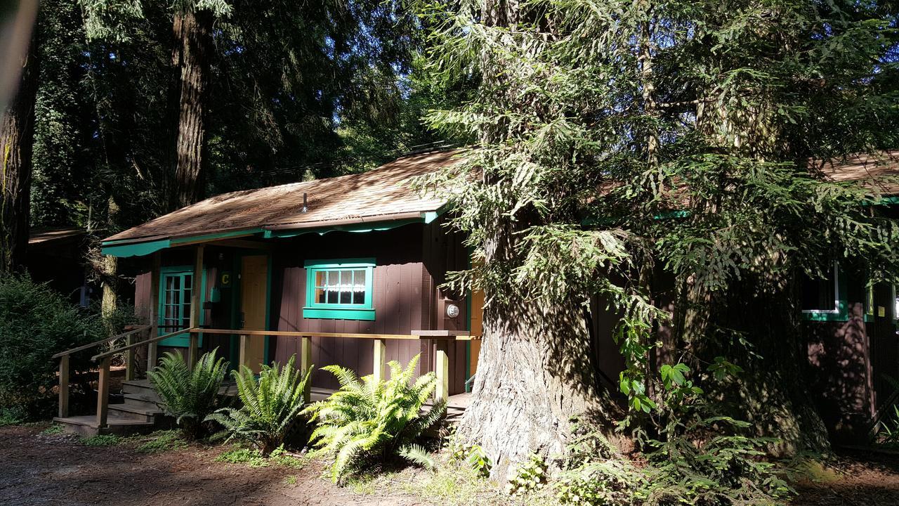 Emerald Forest Cabins Тринидад Екстериор снимка