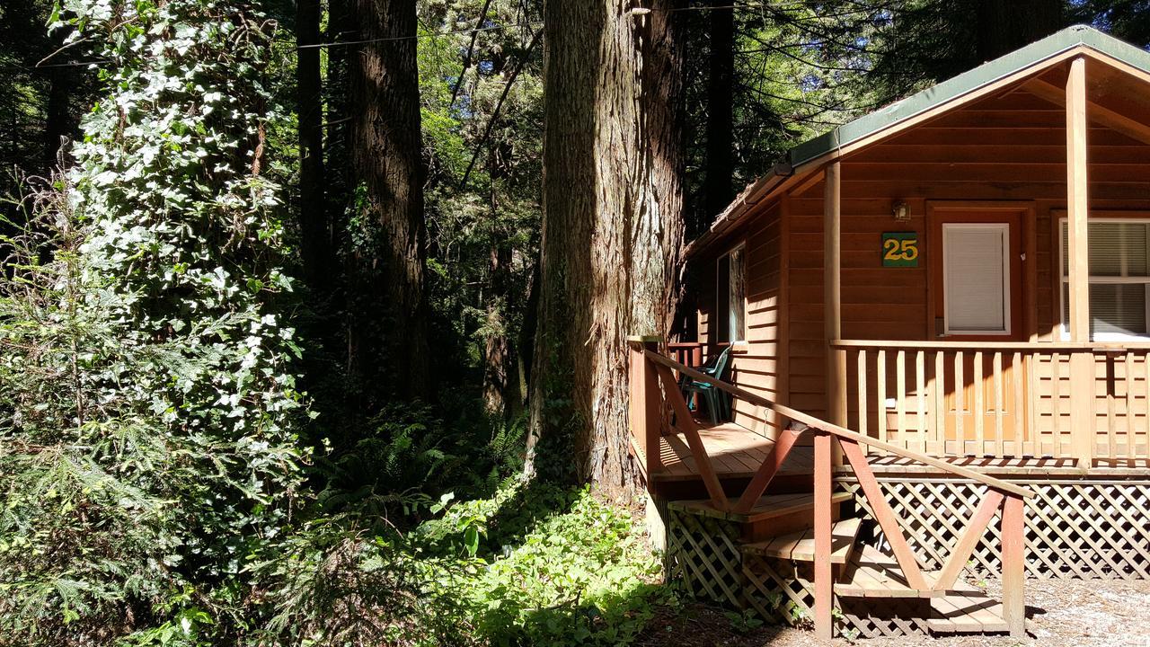 Emerald Forest Cabins Тринидад Екстериор снимка