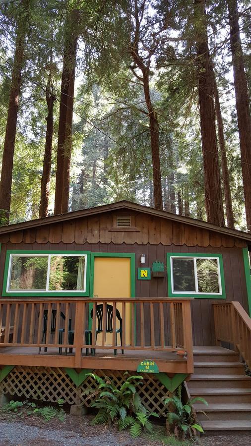 Emerald Forest Cabins Тринидад Стая снимка